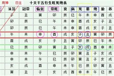 身強特徵|四柱八字「身弱」與「身強」詳解